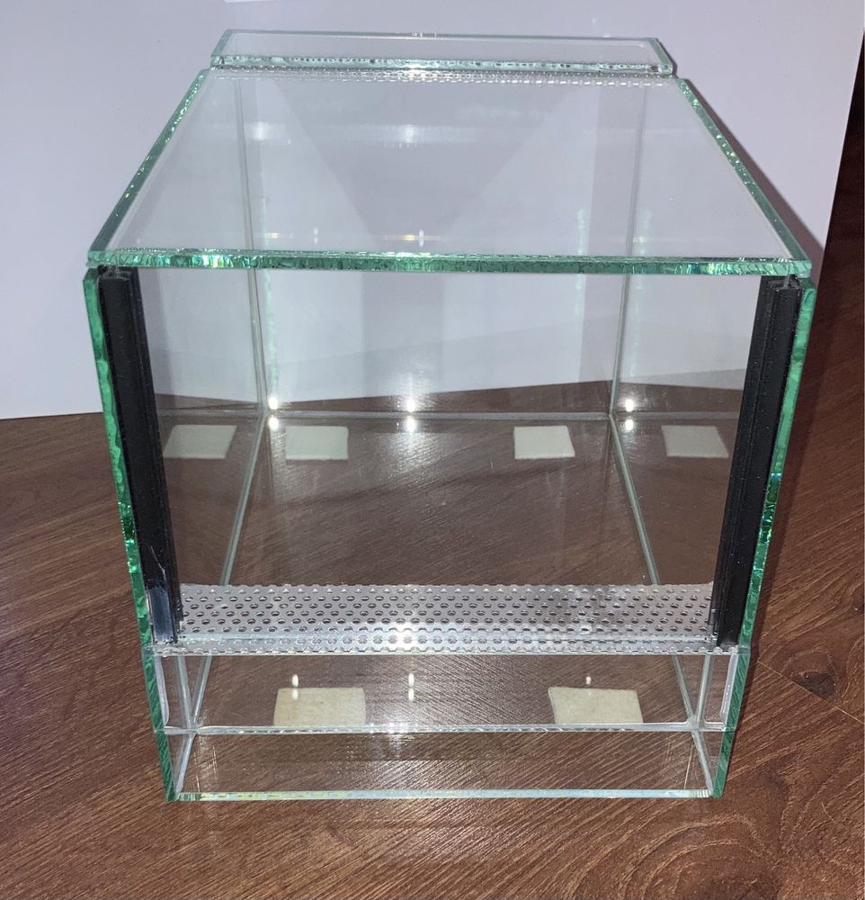 Terrarium ptasznik pajak modliszka 20x30x20 gilotyna