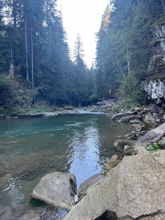 Відпочинок  в Карпатах .Микуличин(Вміщаємо до 90 осіб)