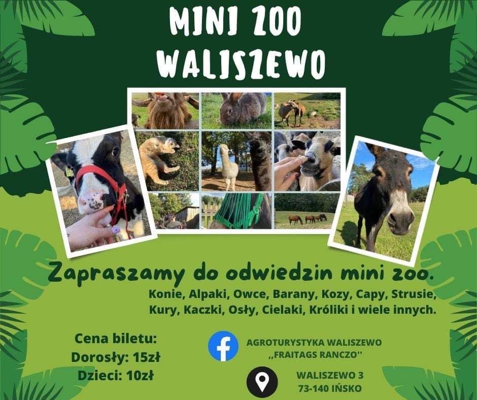 Zwiedzanie MINI ZOO