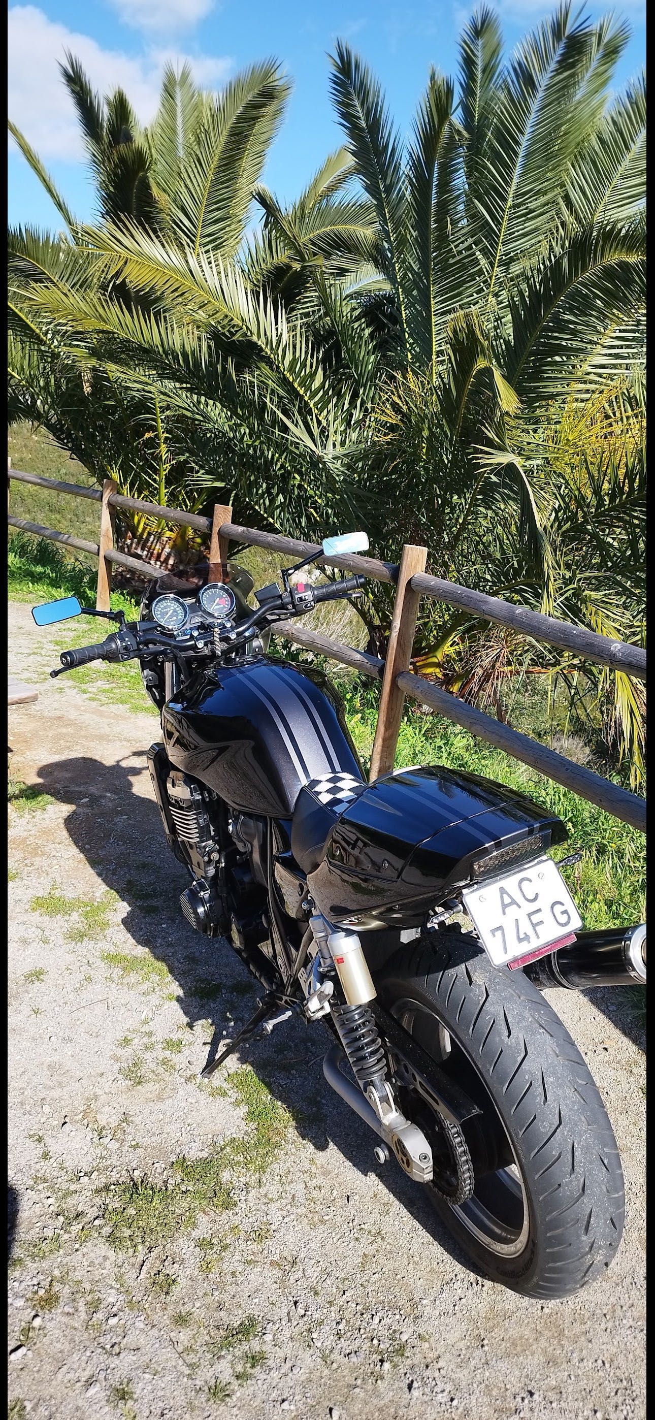Kawasaki ZRX 1100