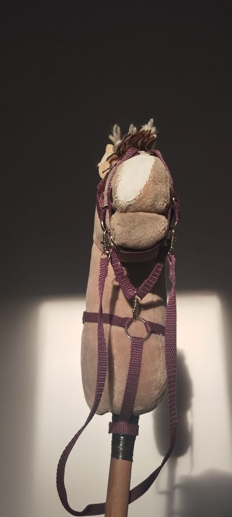 Sprzęt dla hobby horse
