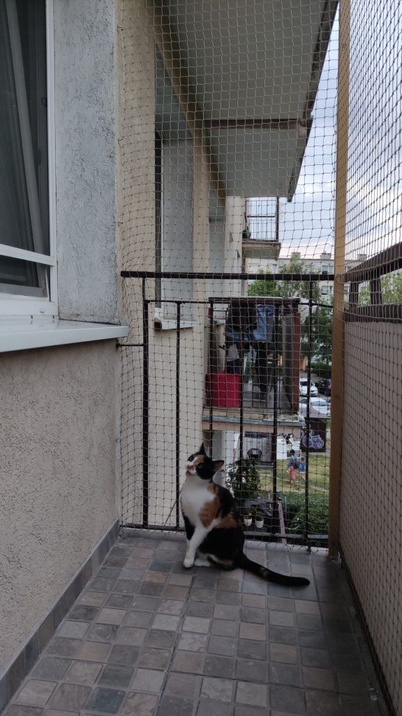 Montaż siatka na balkon koty