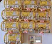 Mini Baús para lembrancas Casamento, Batizados, etc.