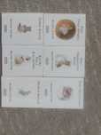 Kolekcja Beatrix Potter