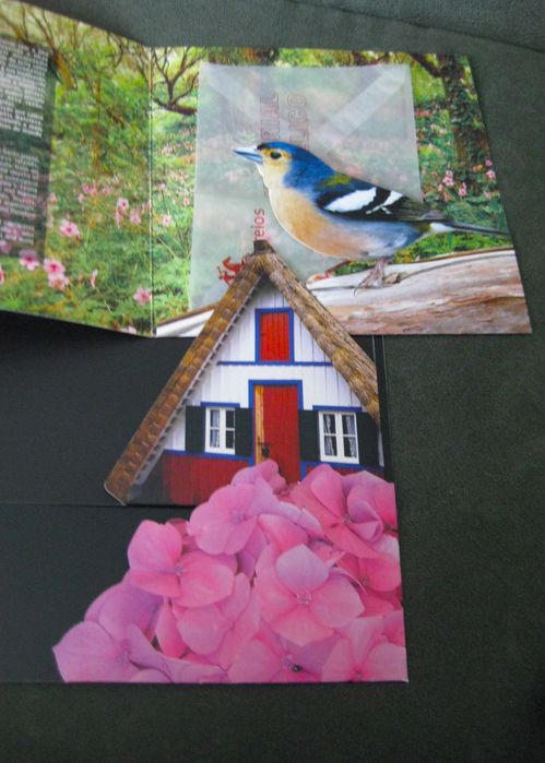 Conjunto de 3 Carteiras Temáticas Madeira s/ Selos