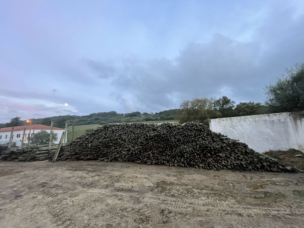 Postes de Madeira para vinha