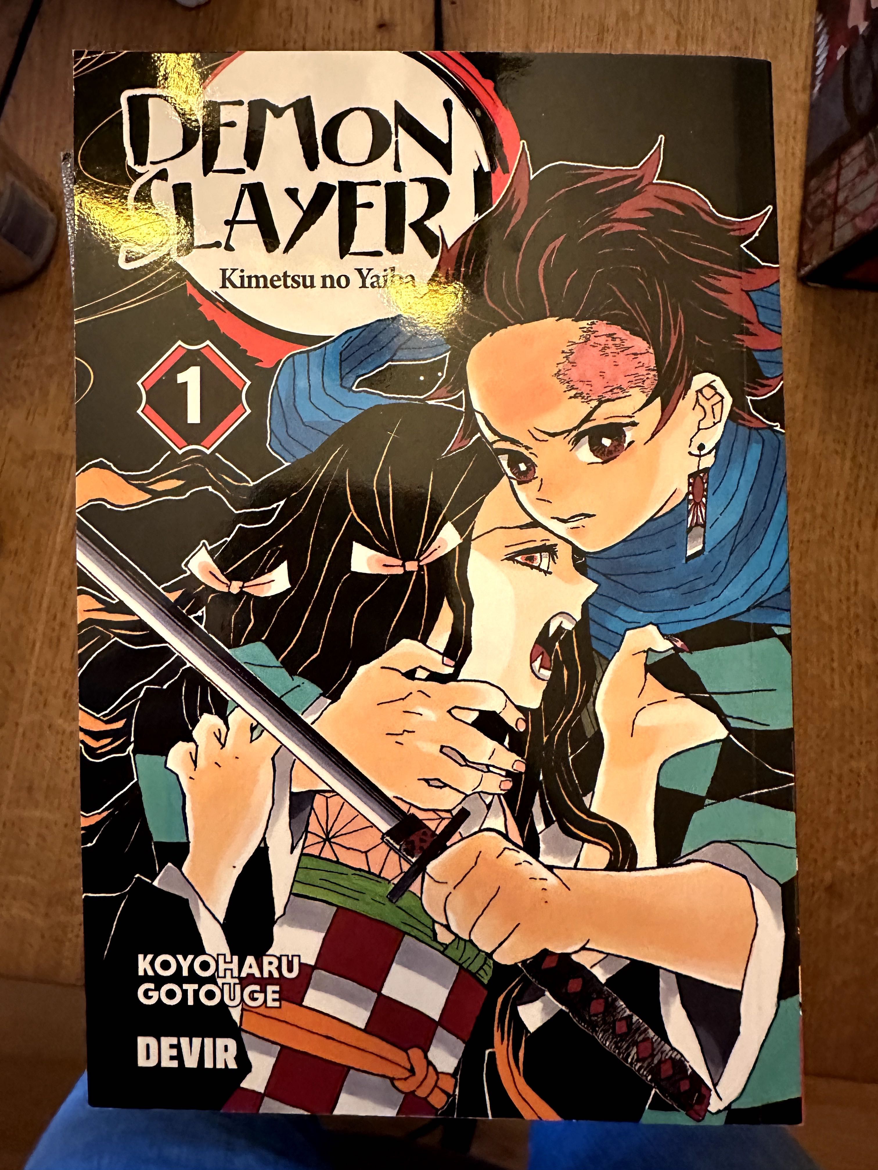 Manga Demon Slayer 1-10 (em português)