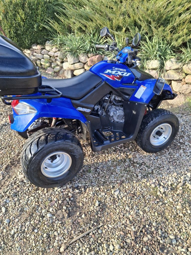 Kymco mxu 250 kymco super stan