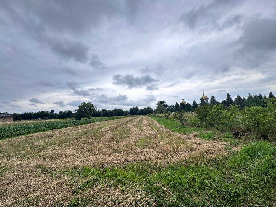 продаж земельної ділянки в с.Клузів. Можливий обмін на Автомобіль.