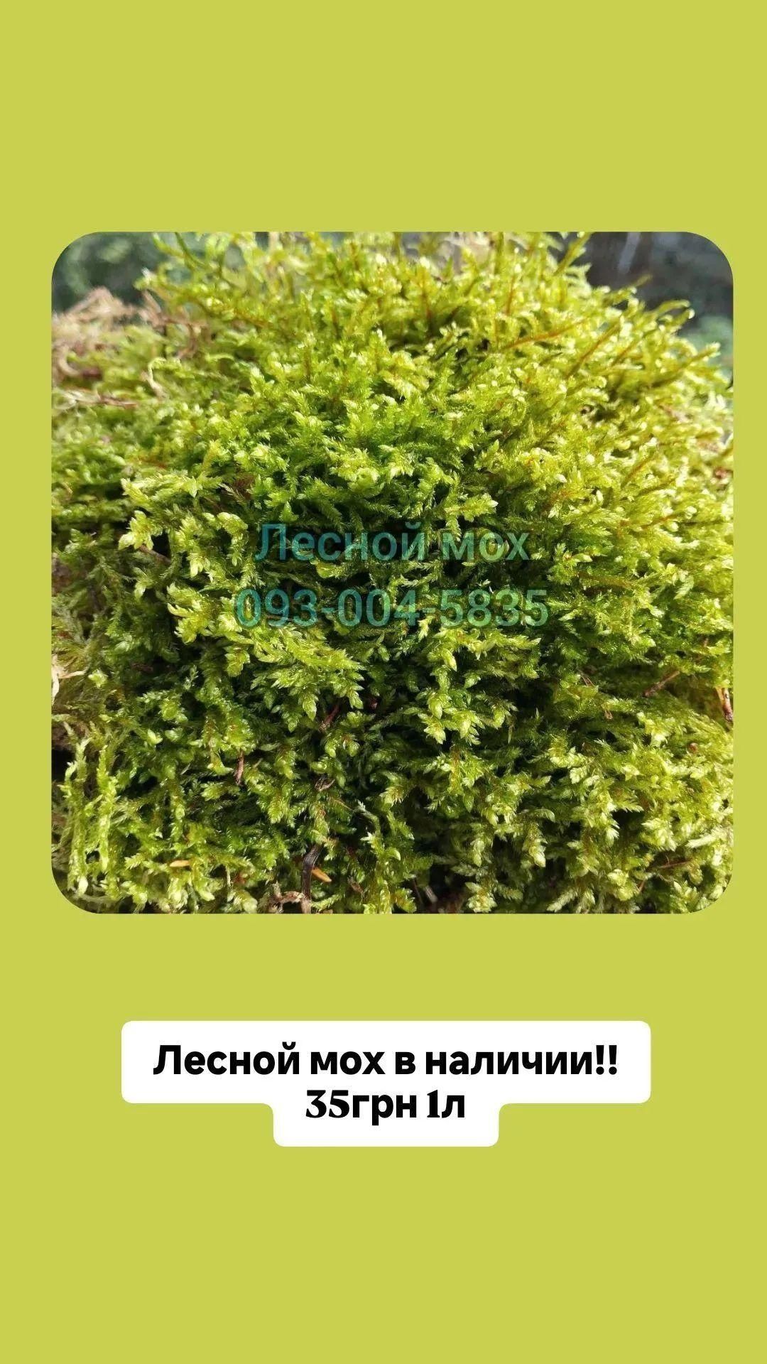 кокосовый грунт/субстрат для улиток,рептилий,растений