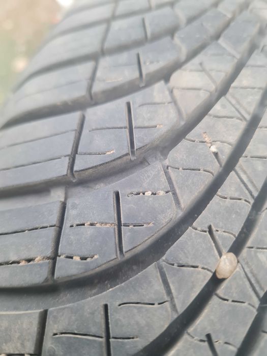Opony caloroczne  dunlop 205/65 R15