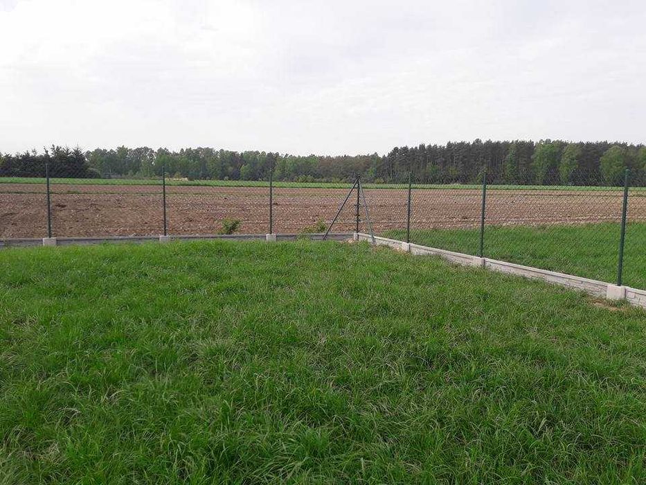 Siatka Ogrodzeniowa Ocynkowana Powlekana PCV ZIELONA H 1,5m