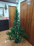 Árvore de Natal casa quarto apartamento vivenda escritório gabinete.