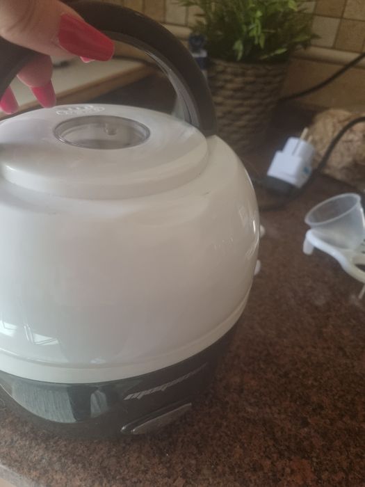 Panela eléctrica arroz