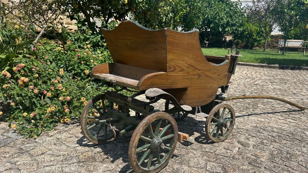 Carrinho de bebé/charrete