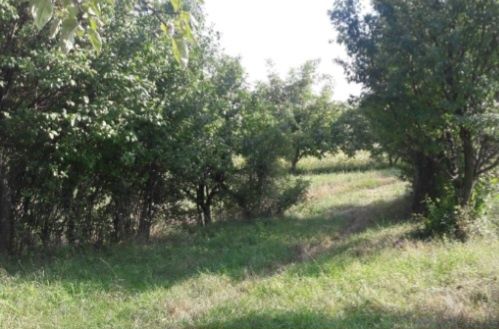Ділянка Новий Киселів 5 хв. до міста