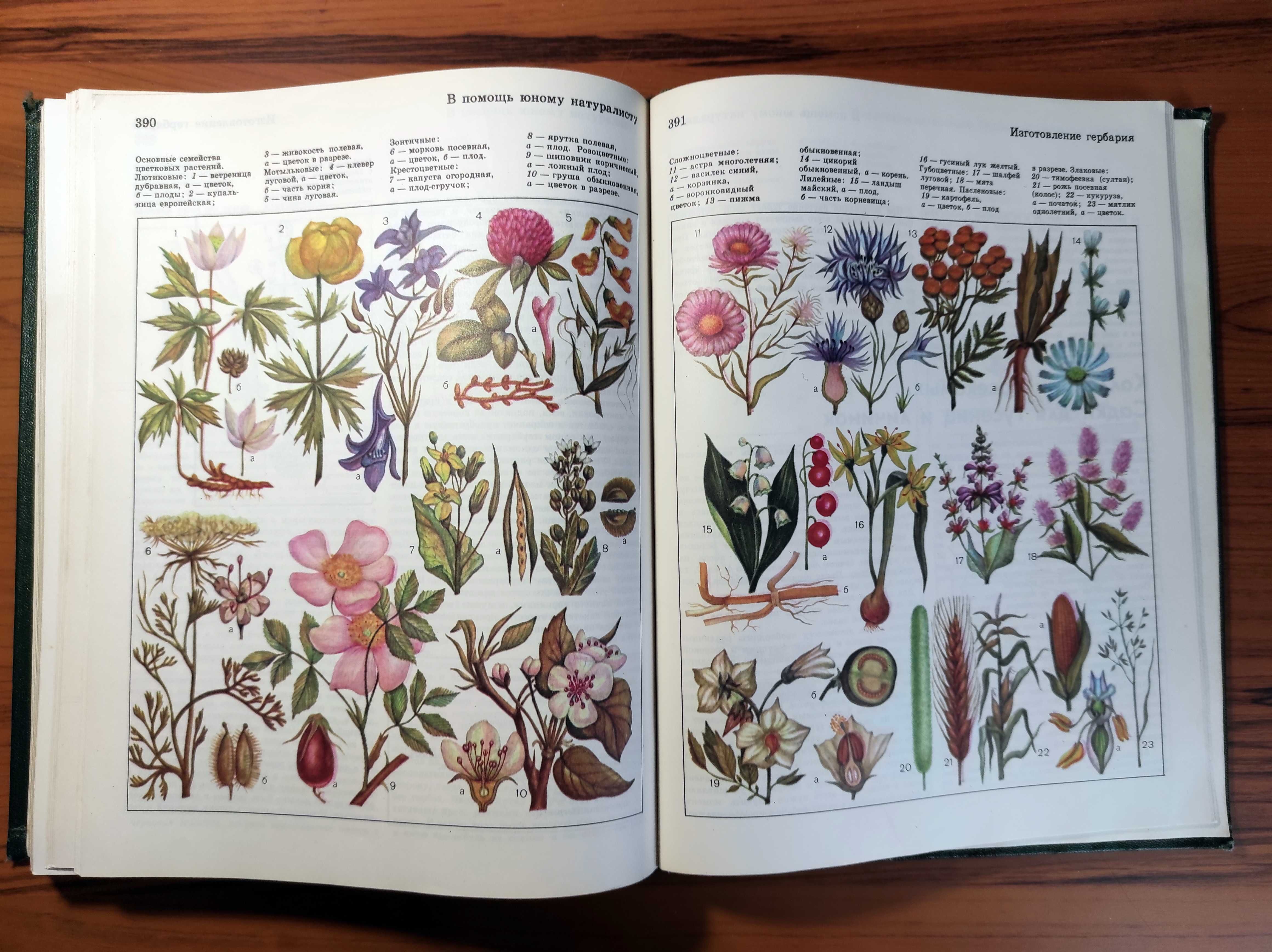 Детская энциклопедия. Том 4. Растения и животные (1973) - 447 с.