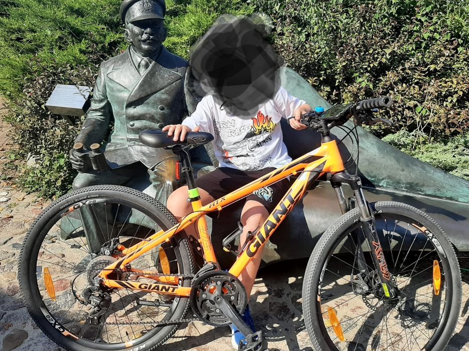 Rower Giant Revel 2 Disc męski rozmiar S