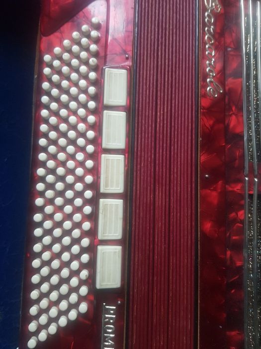 Barcarole акордеон. 120 басов. 11 рег. Немец.Отличное состояние. Чехол