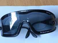 Okulary przeciwsłoneczne Alpina Ceramic