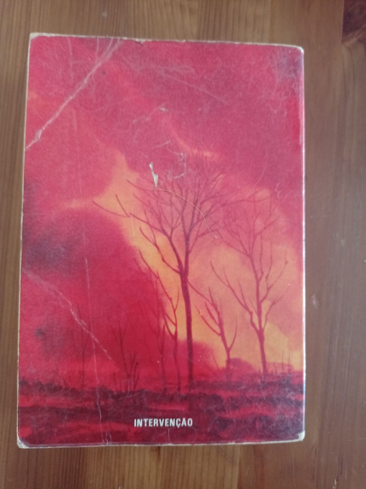 Moçambique - terra queimada