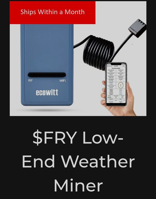 Ecowitt mineradora de crypto Fry