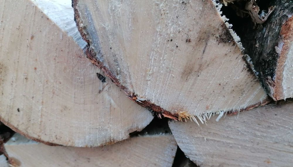 DREWNO KOMINKOWE/Opałowe promocja