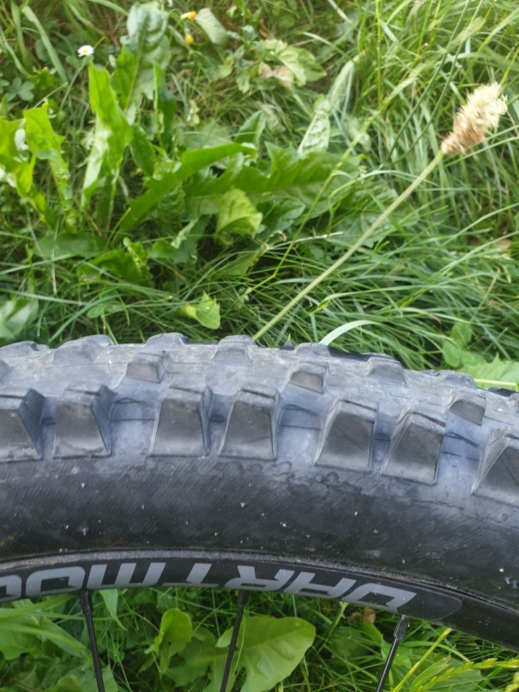 Dartmoor Hornet 27.5 2022 L