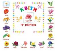 Карточки домана картки квіти українська англійська 17шт
