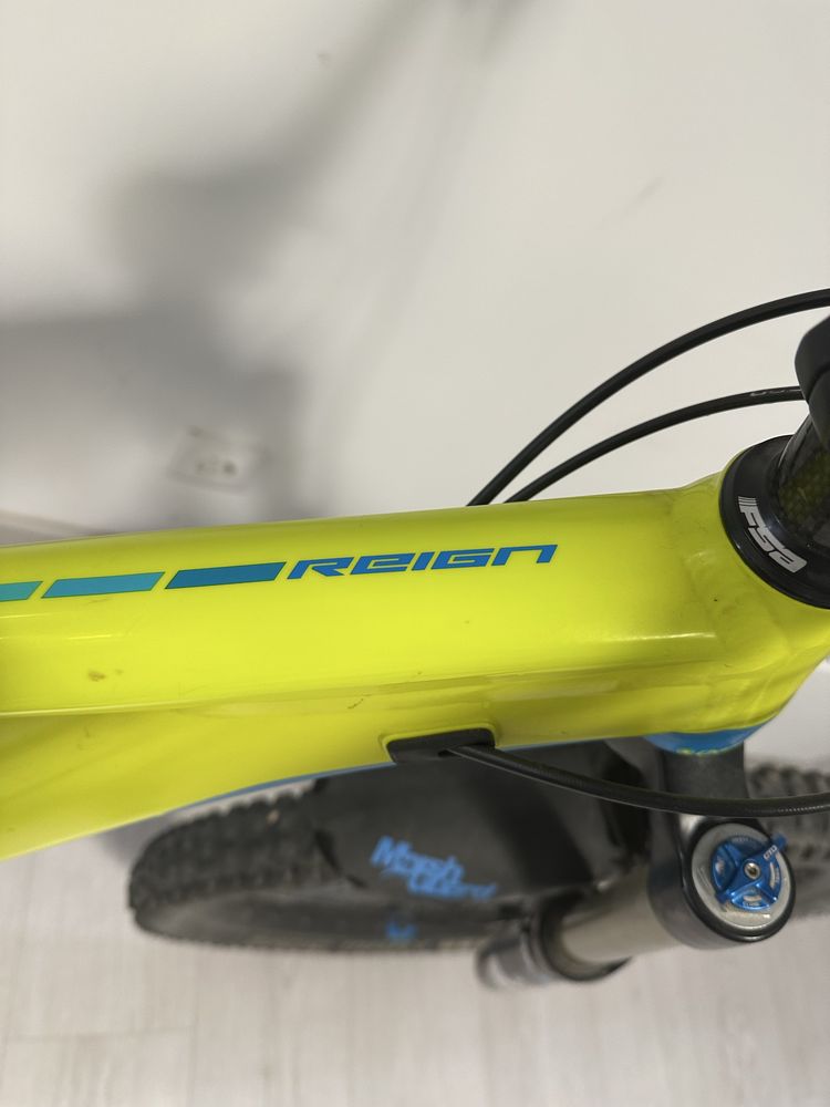 Boficleta Giant Reign