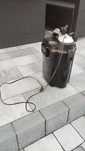 Filtr Aquael Unimax 250