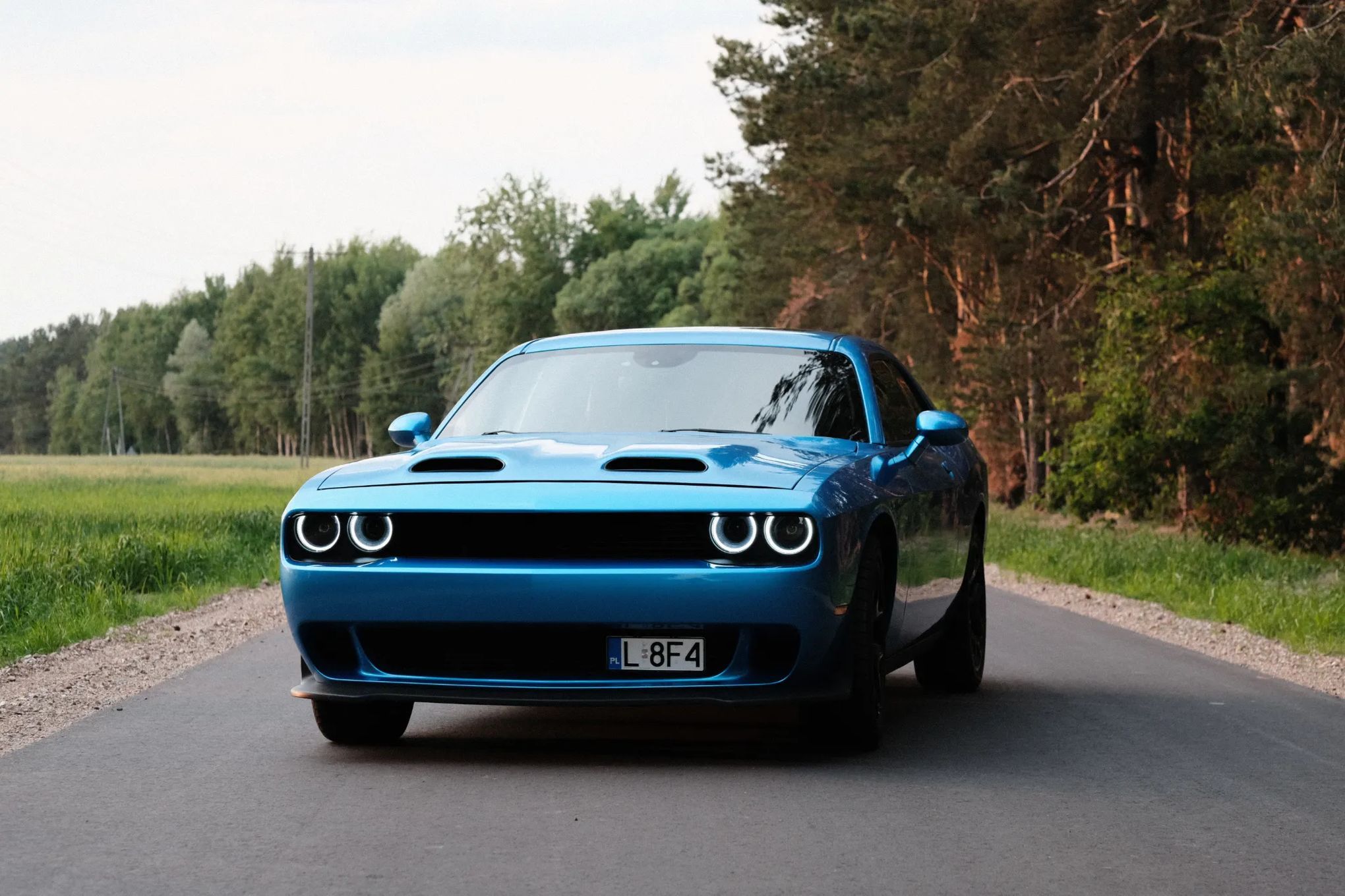 Dodge Challenger Dodge Challenger 3.6 SXT PLUS
