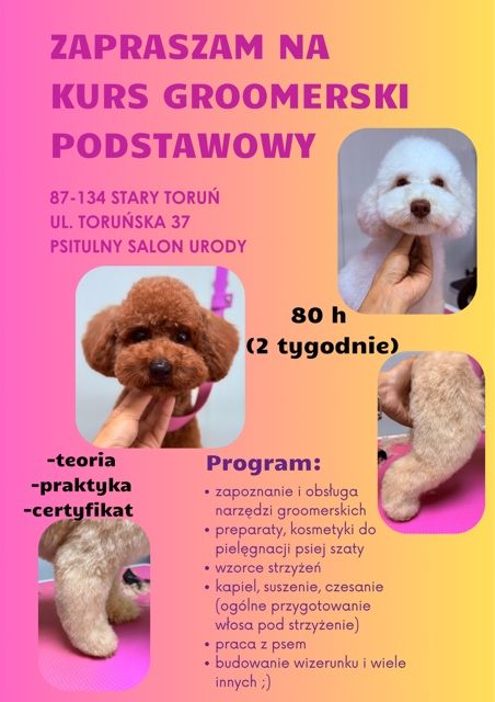 Kurs groomerski podstawowy