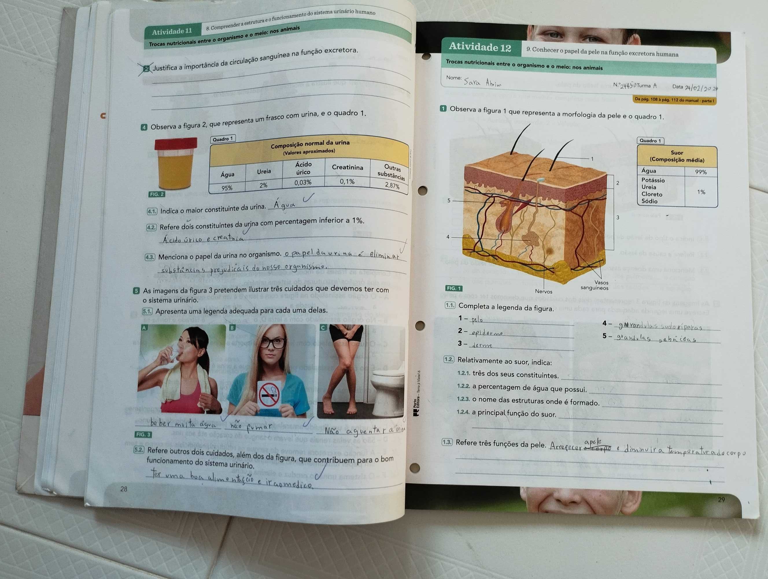 Terra á vista 6ºano caderno
