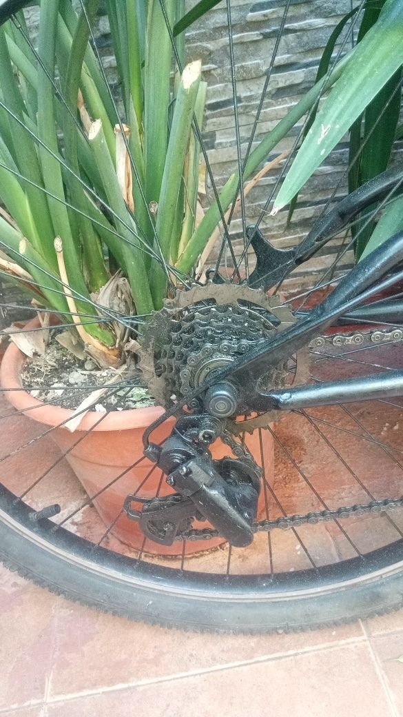 Vendo BTT (particular)