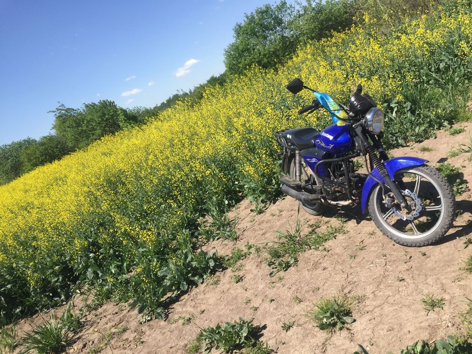 Mustang125 в хорошому стані