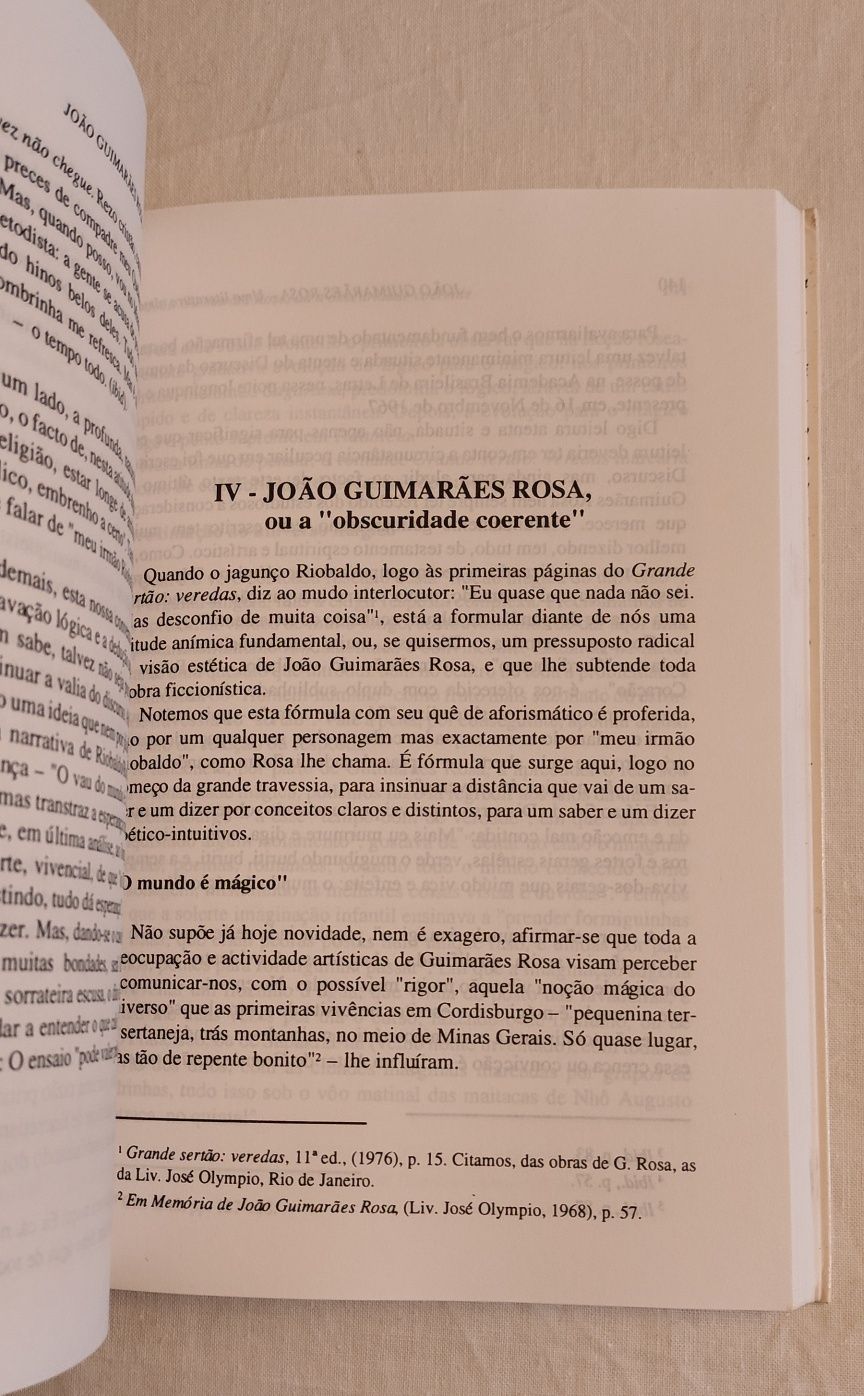 João Guimarães Rosa - Uma Literatura almada