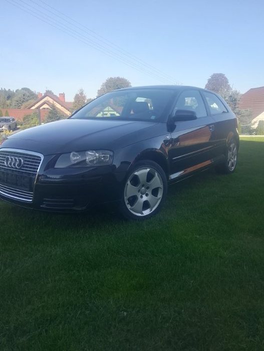 Audi A3 8P 1.6MPI 2005