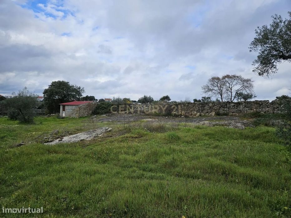 Quintinha na Lousa, Castelo Branco
