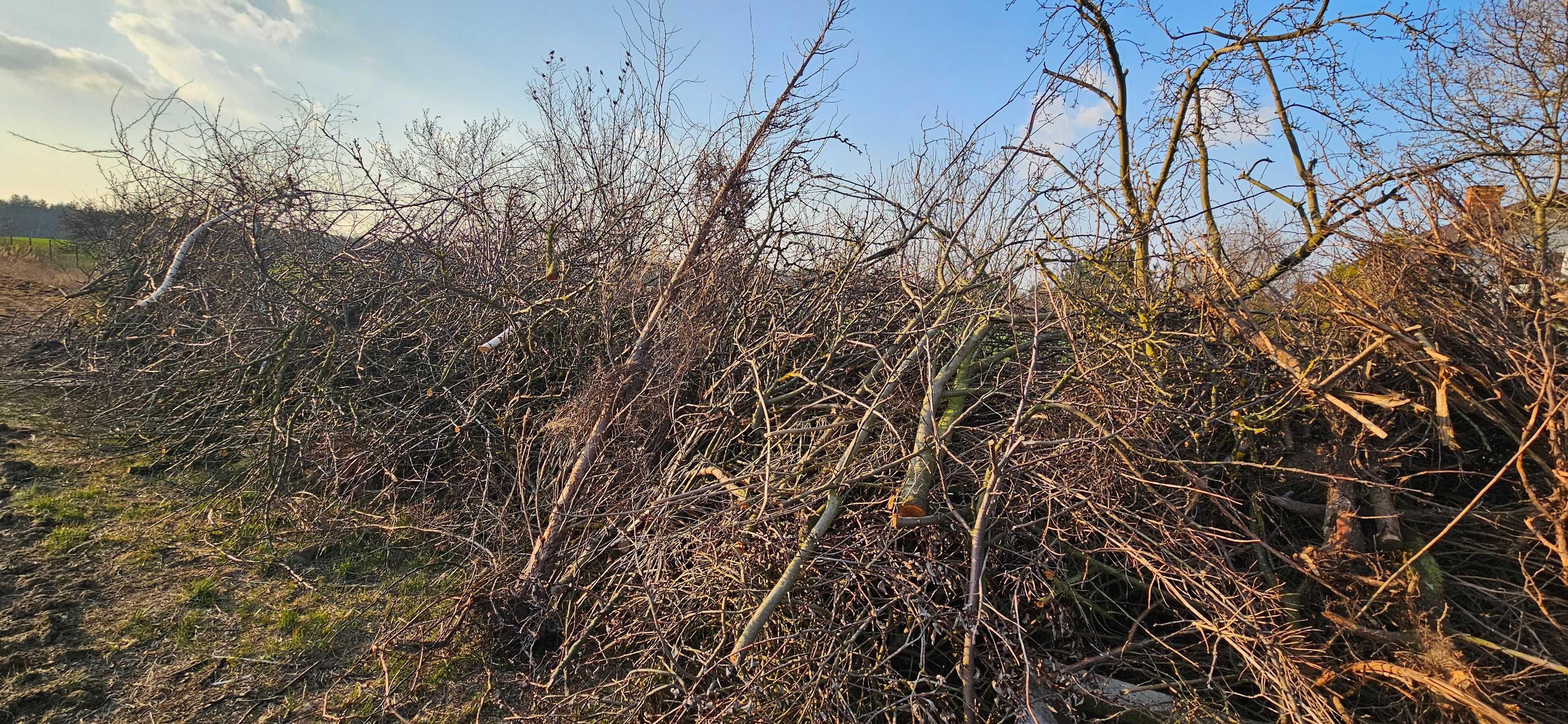 Oddam Gałęzie i krzewy
