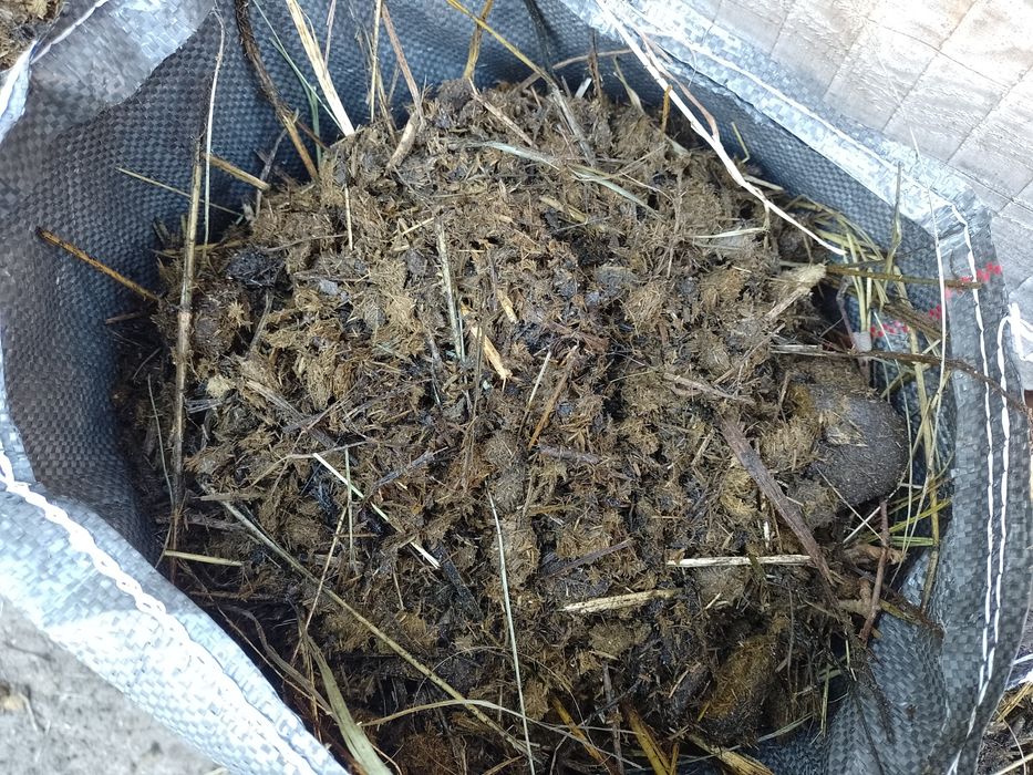 Obornik koński w workach jutowych lub luzem