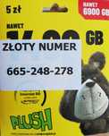 Łatwy numer telefonu, złoty numer, Starter Plush