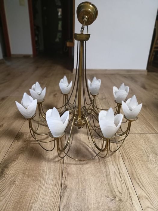 Elegancki żyrandol