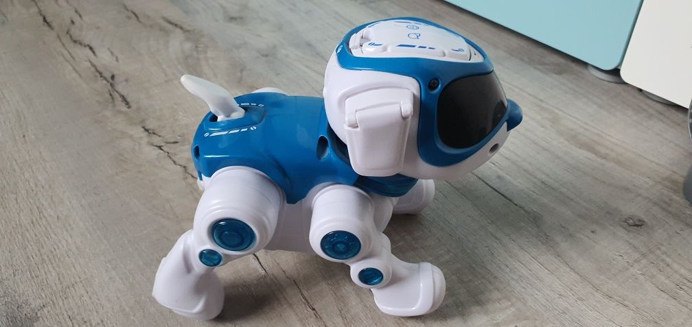 Cobi Robopies teksta pies robót, piesek. 360 stopni.