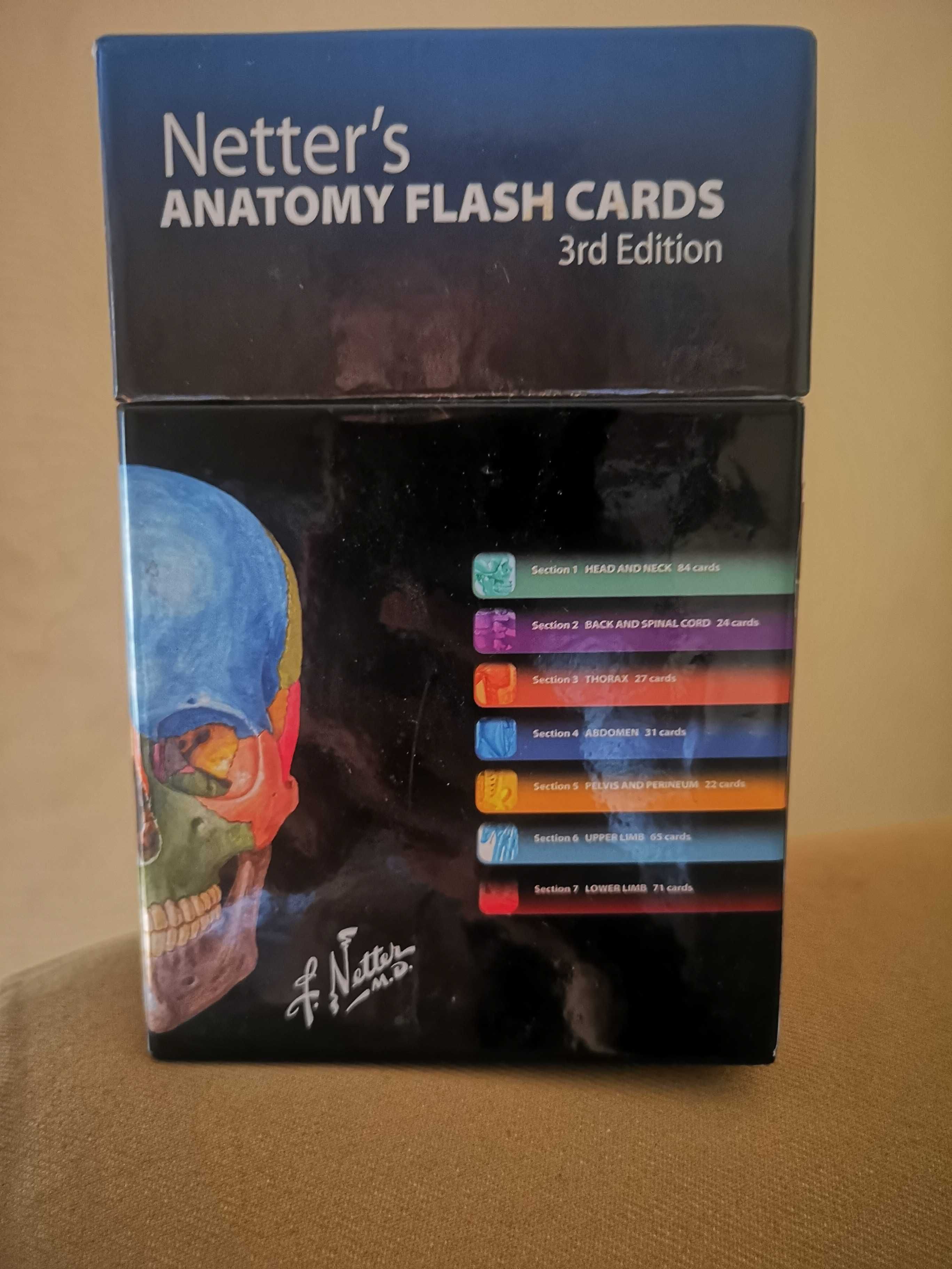 Flash cards Netter como novo