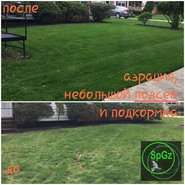 Добрива ЛІТО для газону підживлення/ Газонные удобрения Лето формула