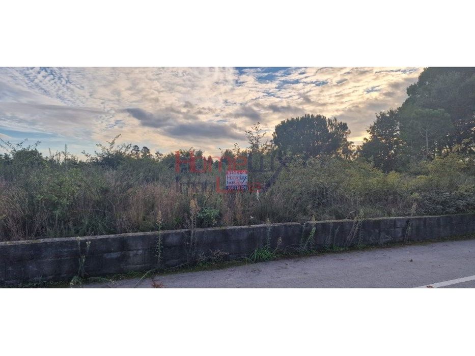 Terreno Rústico com viabilidade de construção, Silgueiros. Viseu