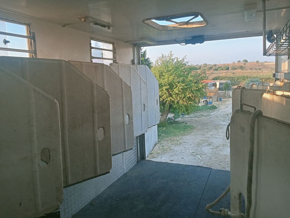 Camioneta carrinha para transporte de cavalos de desporto