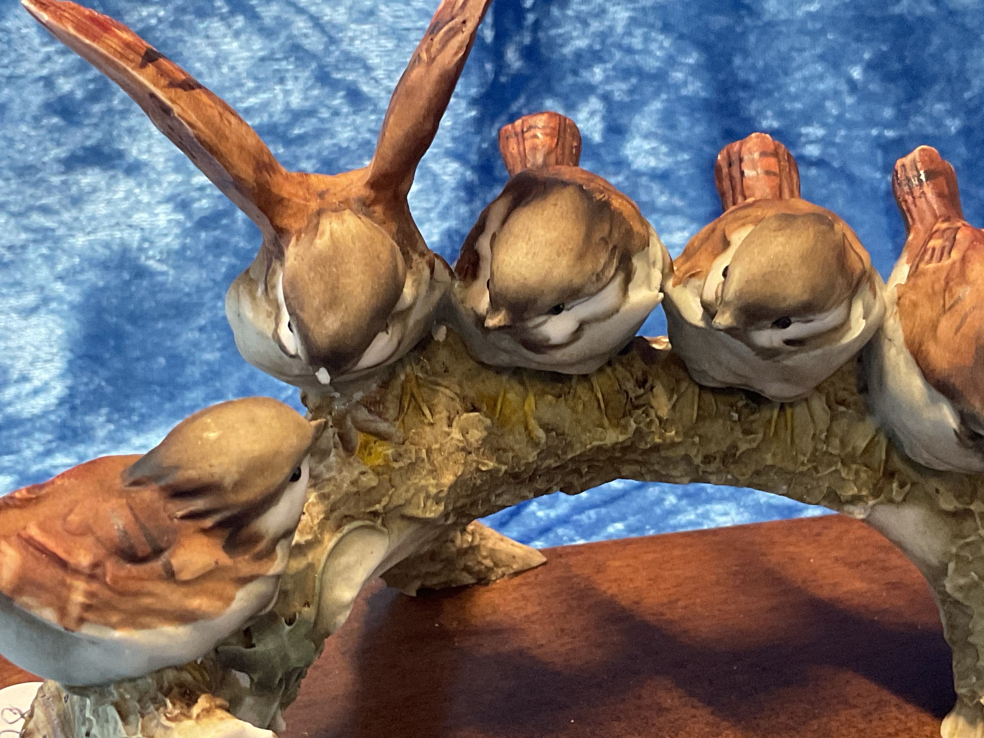 Aves em tronco ,,20 cm longo .
