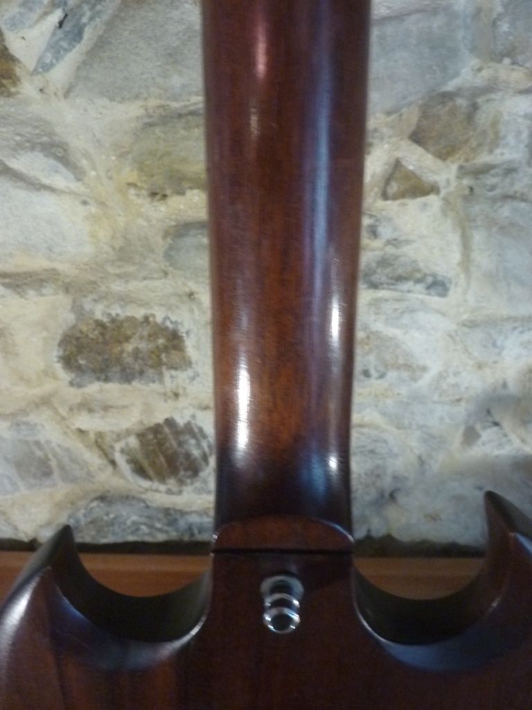 Gibson 2010 SG Special